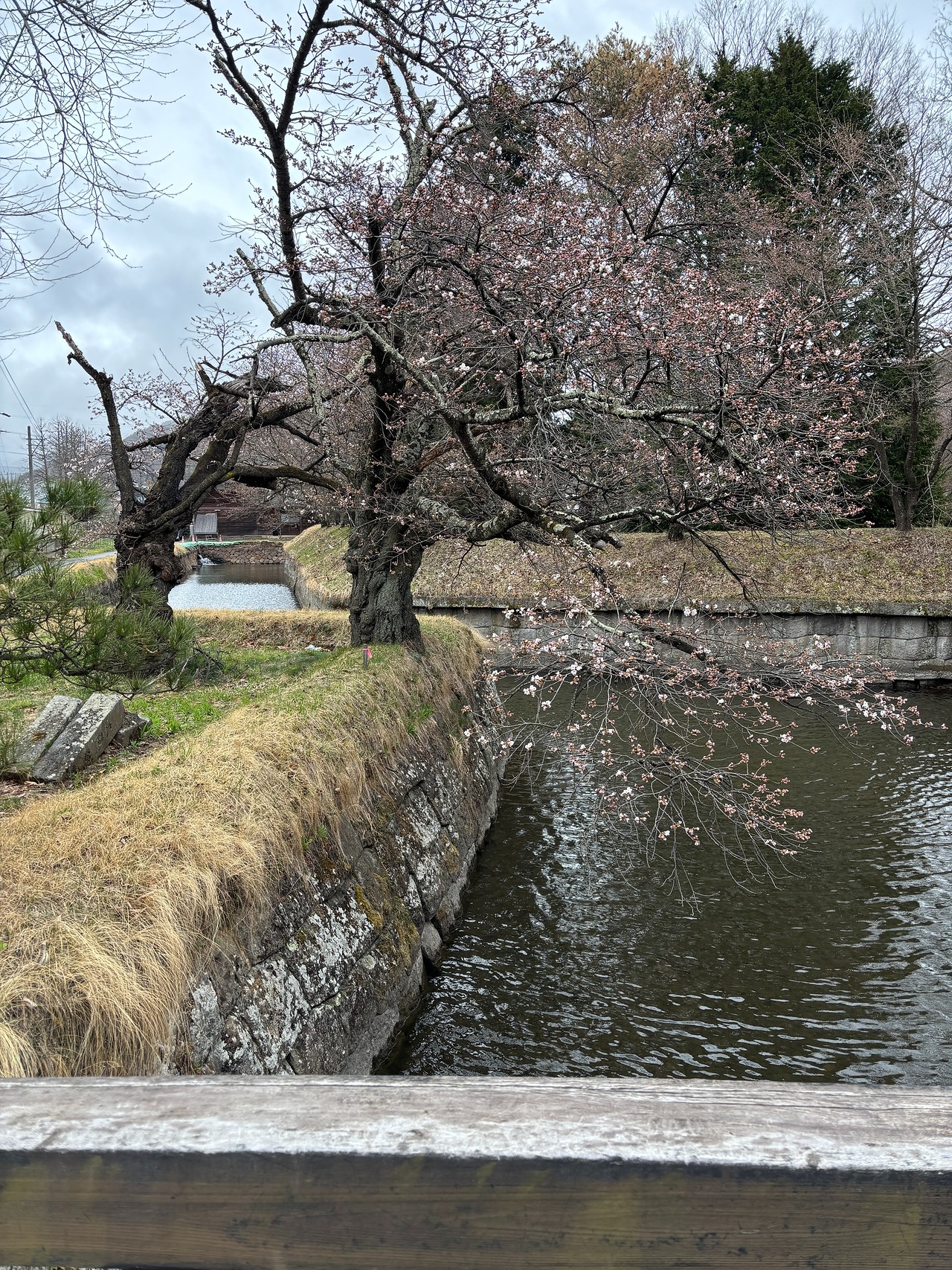 龍岡城-2
