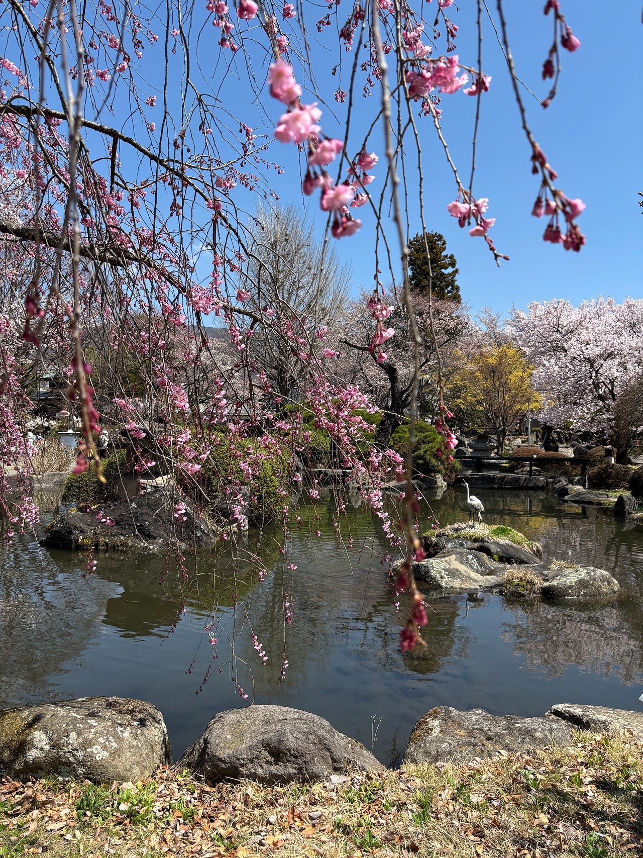 高島城-2