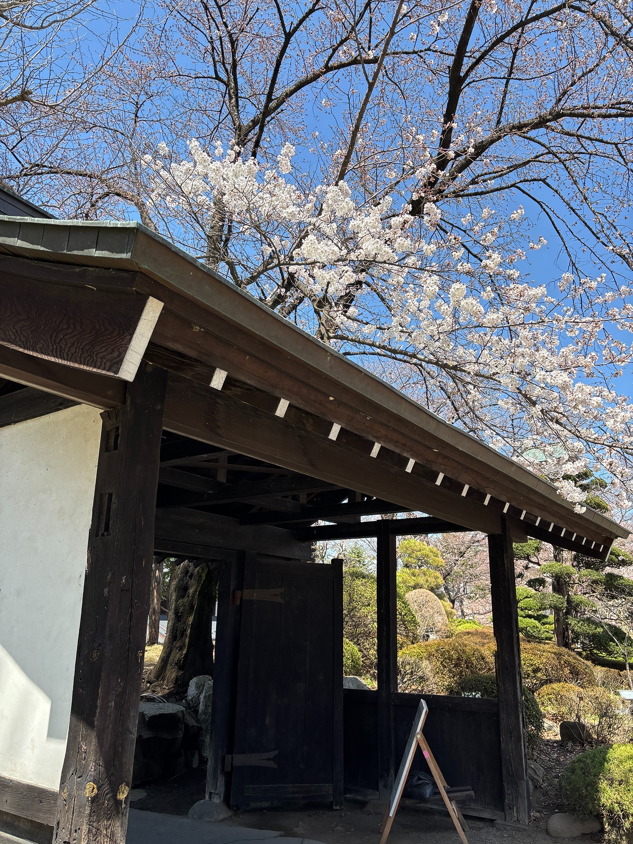 高島城-3