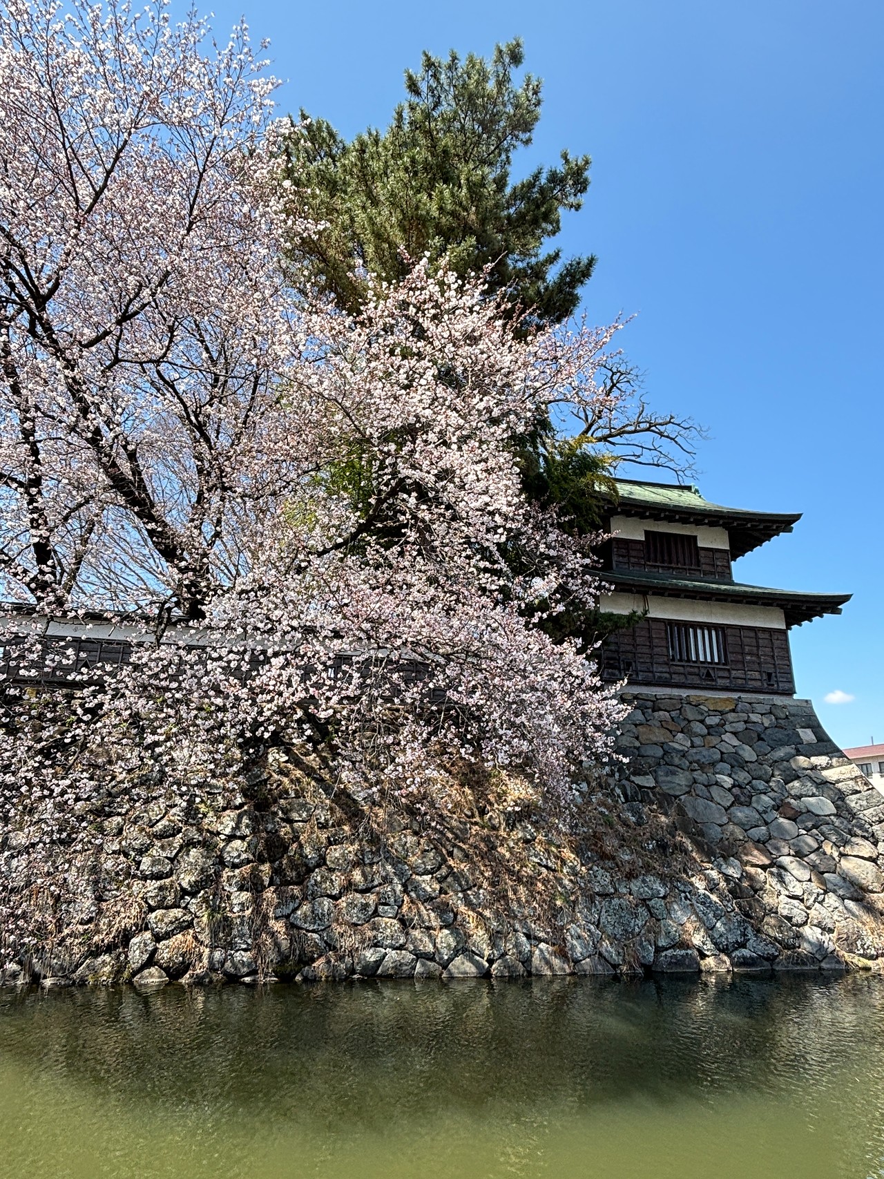 高島城-4