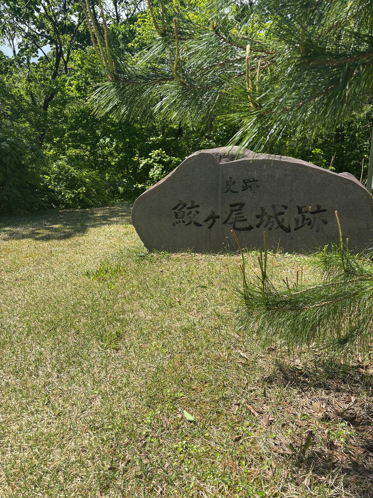 鮫ヶ尾城-2