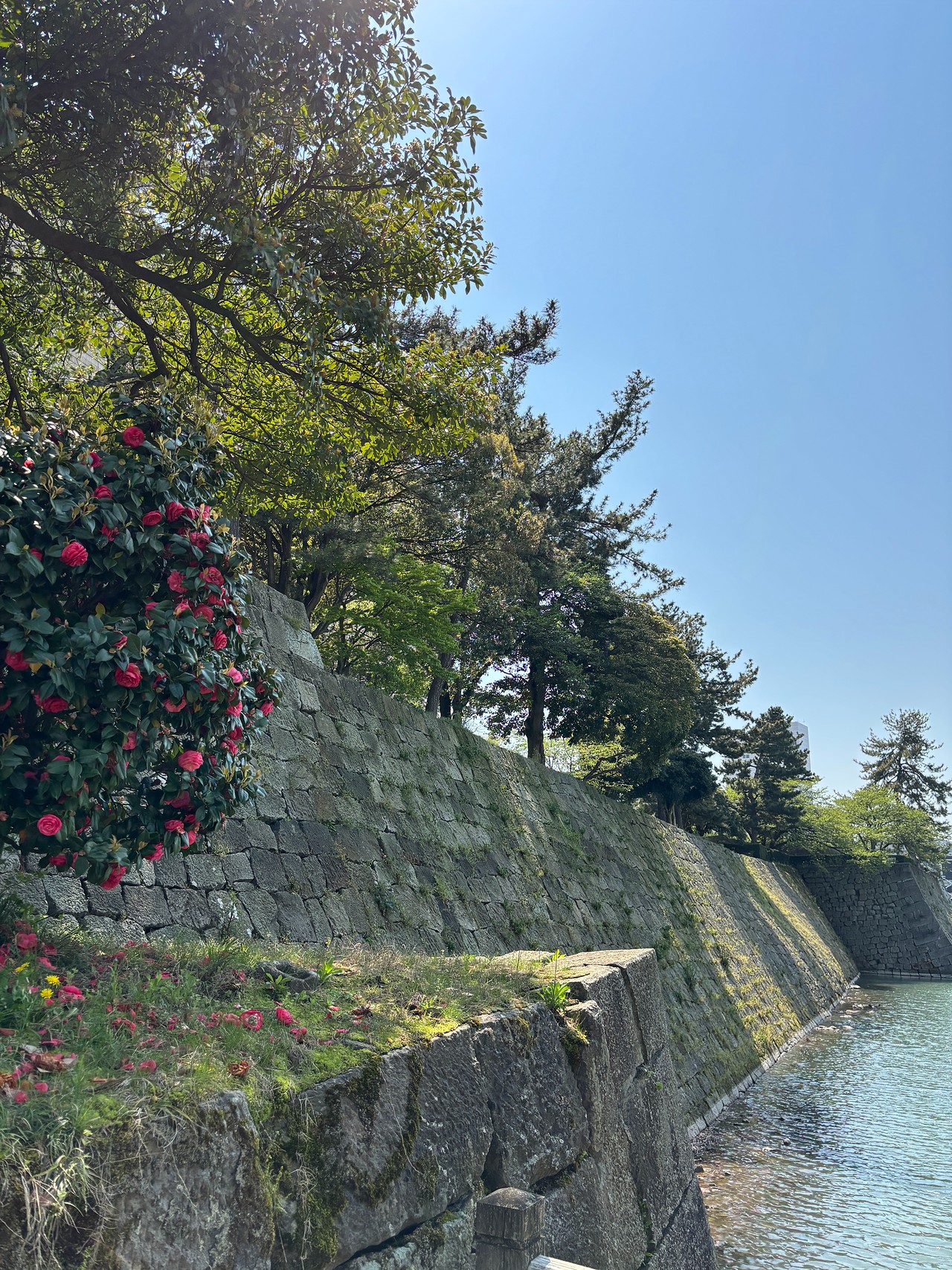福井城-5