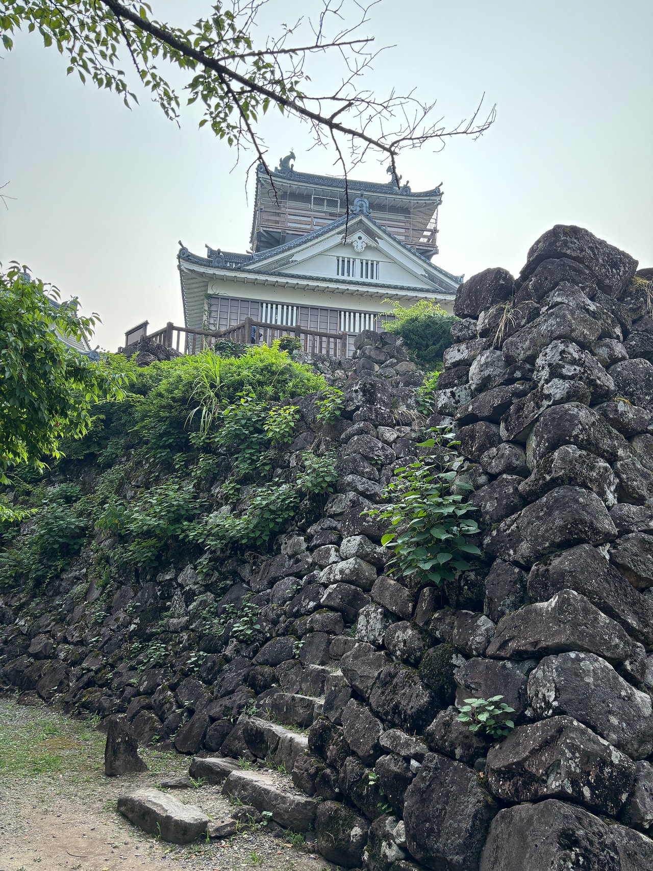 越前大野城-2