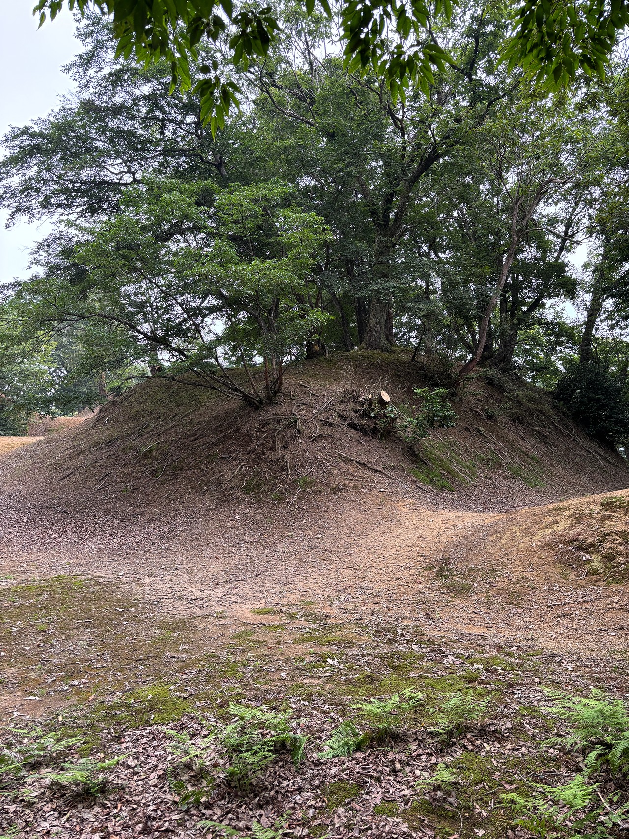 玄蕃尾城-1