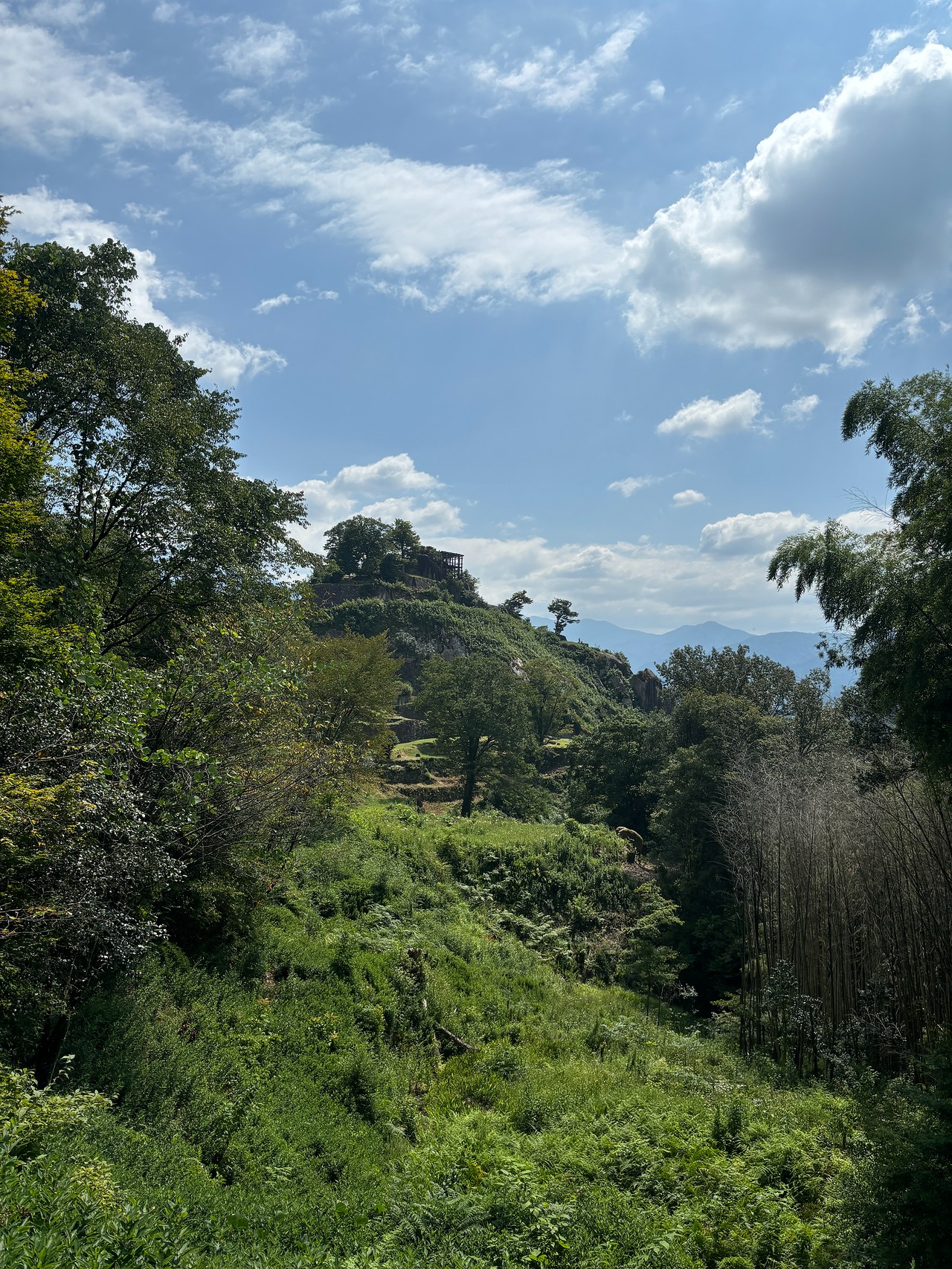 苗木城-5