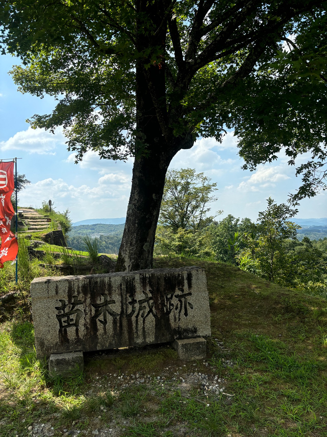 苗木城-3