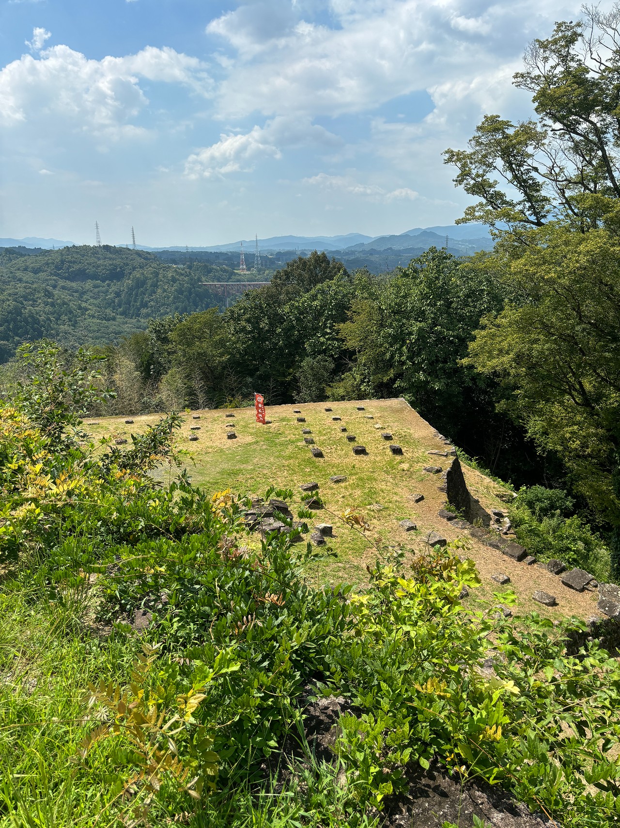 苗木城-2