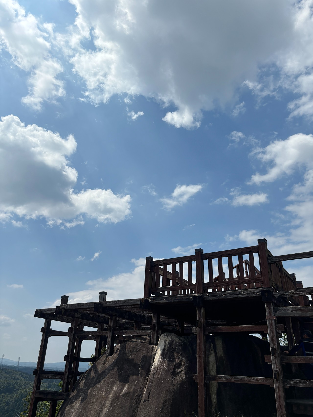 苗木城-4