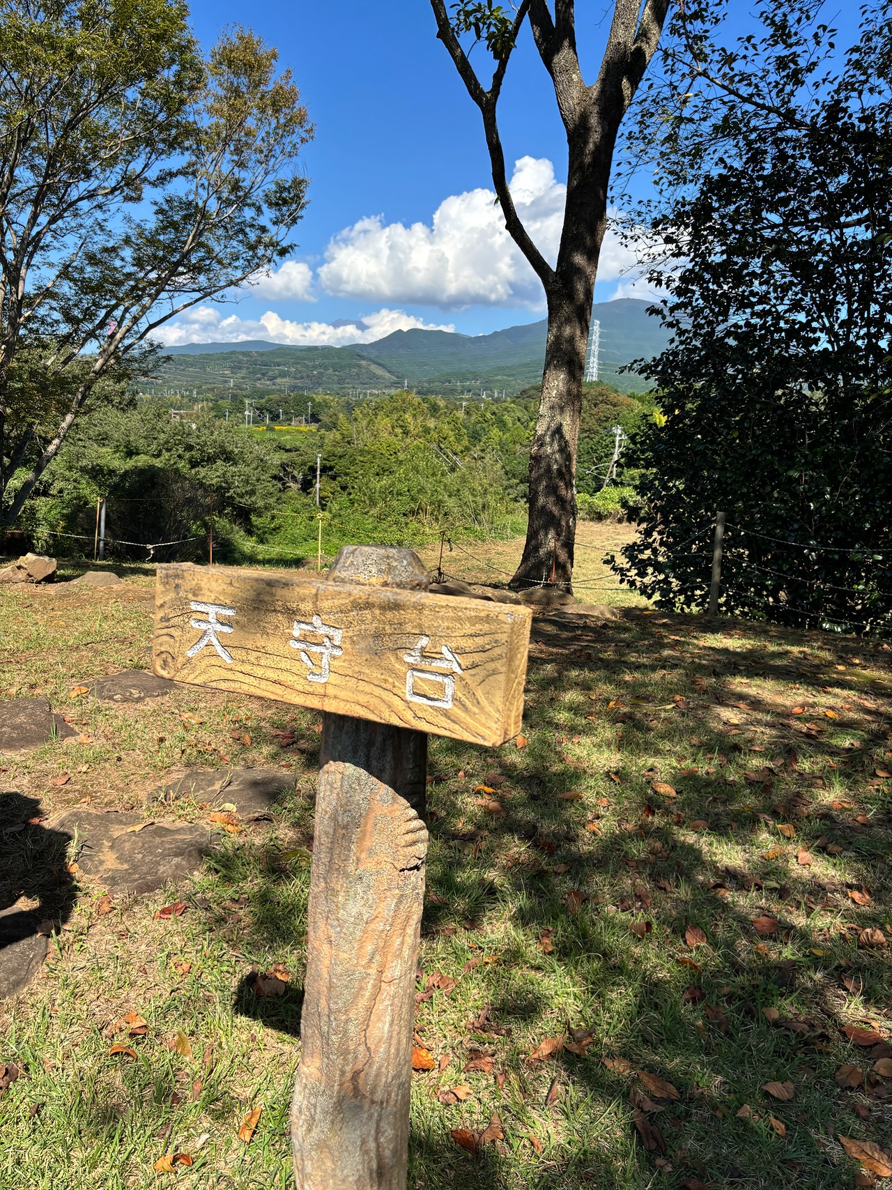 興国寺城-2