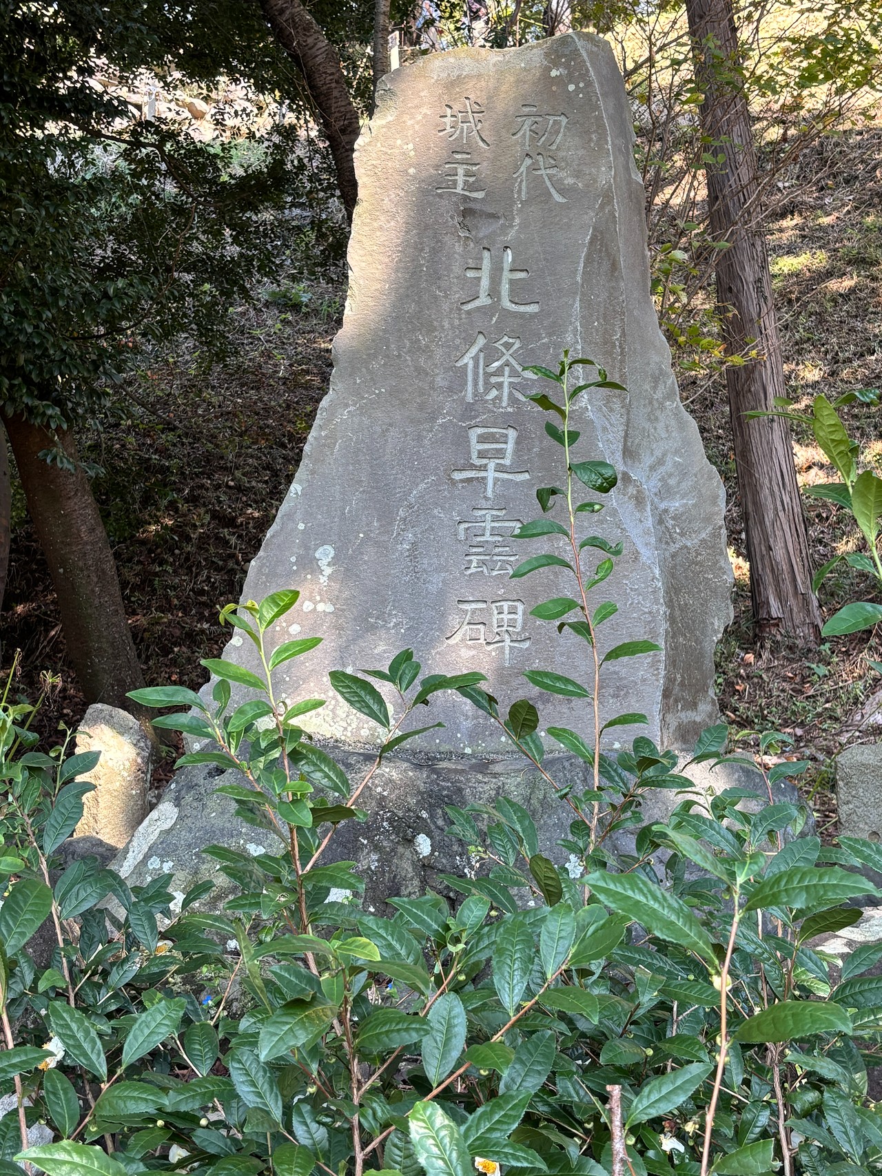 興国寺城-4