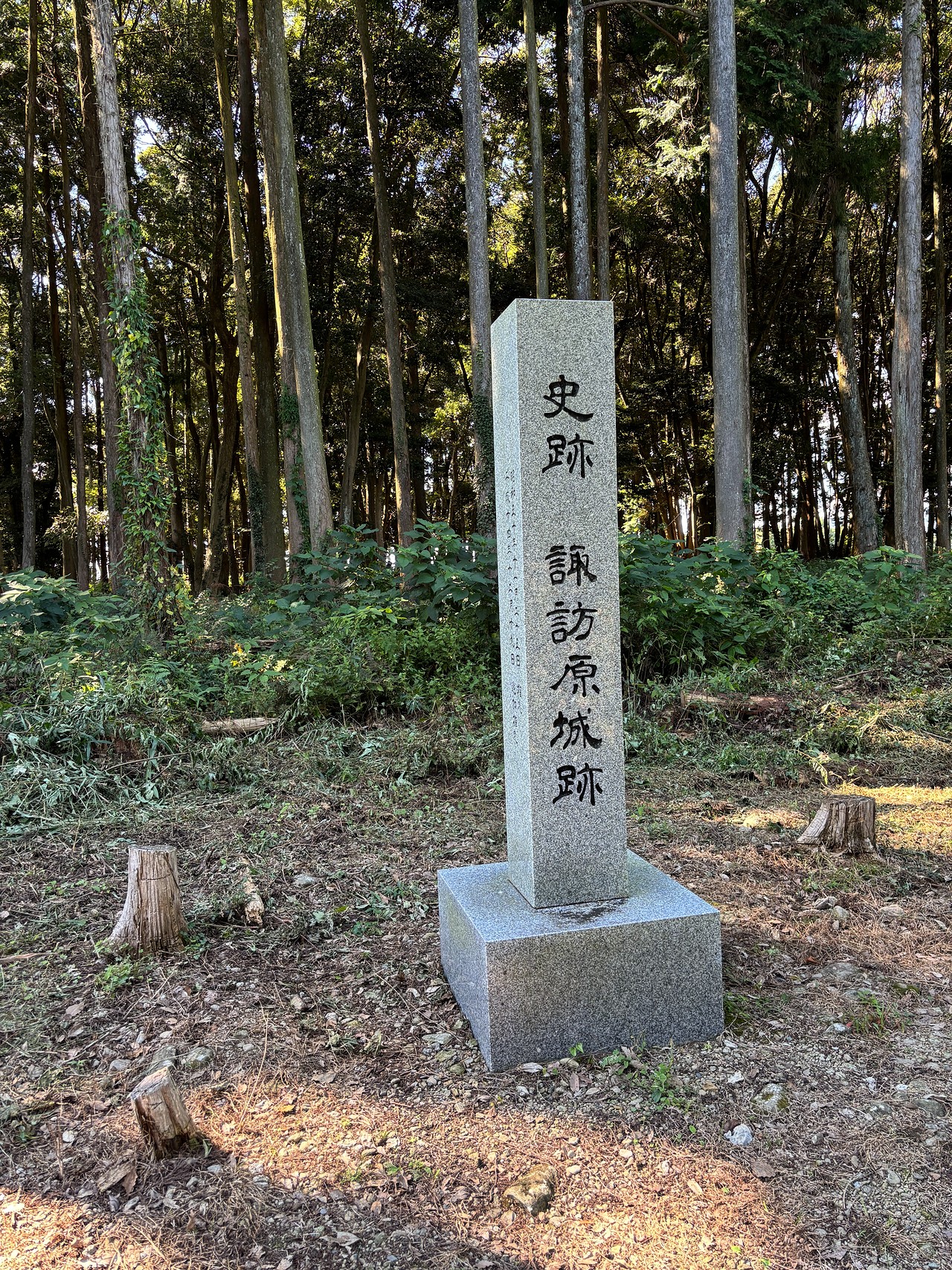 諏訪原城-1