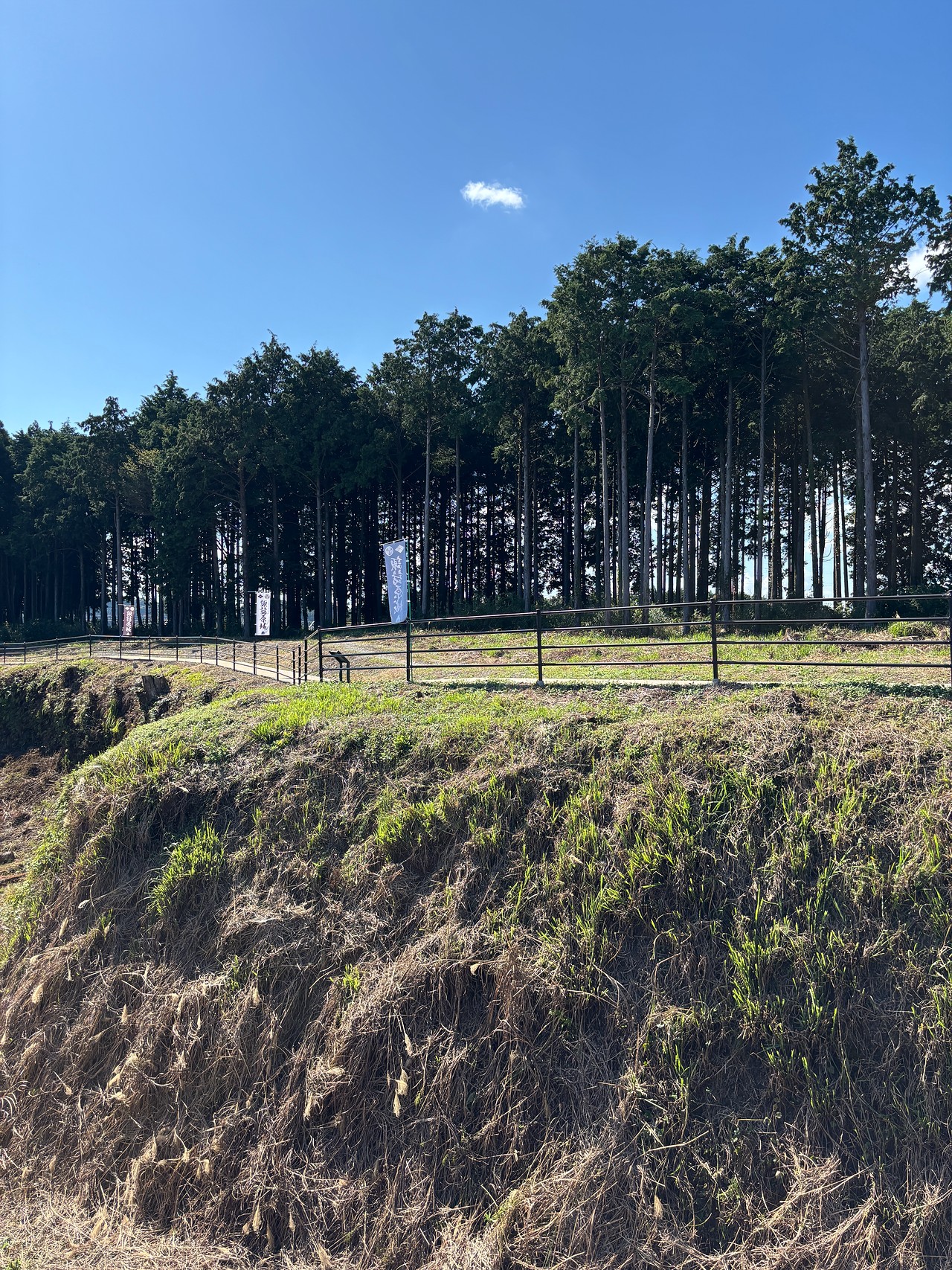 諏訪原城-5