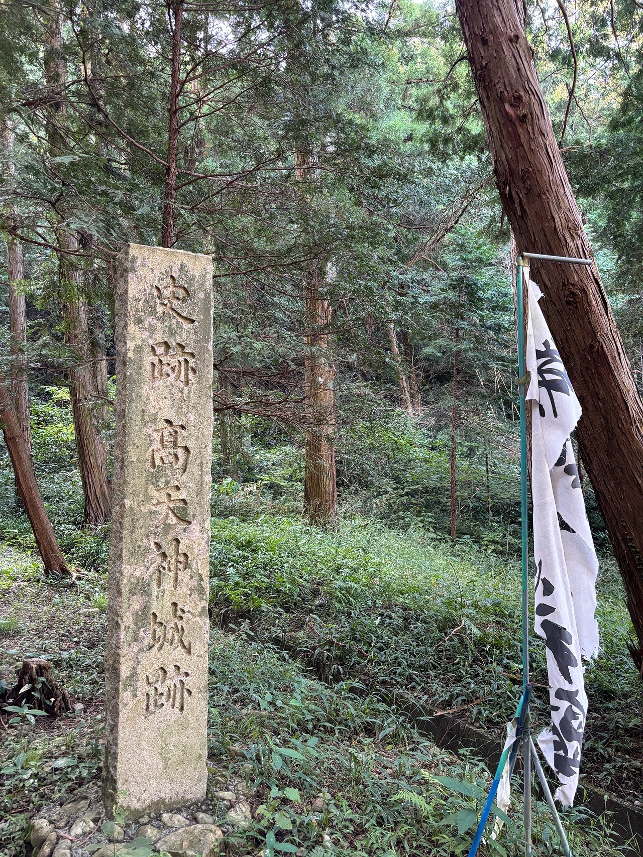 高天神城-1