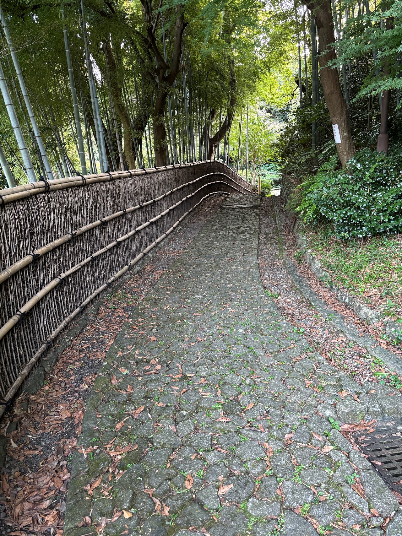 浜松城-3
