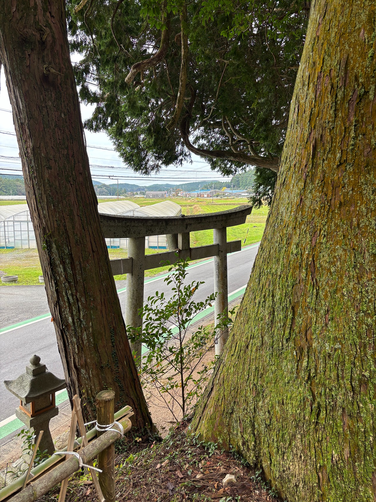 古宮城-3