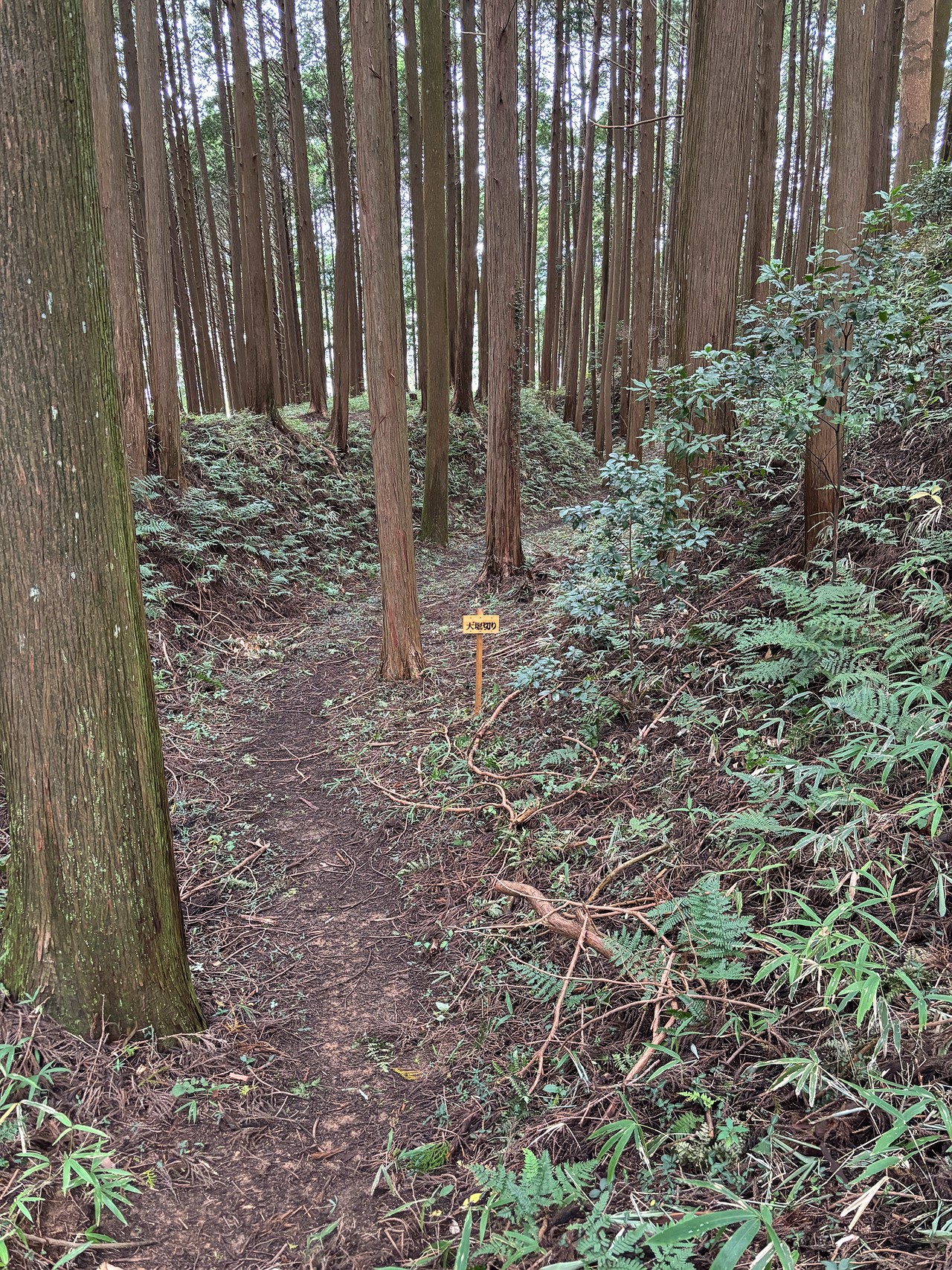 古宮城-2