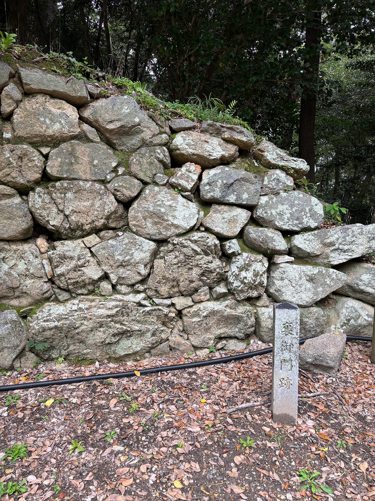 吉田城-3