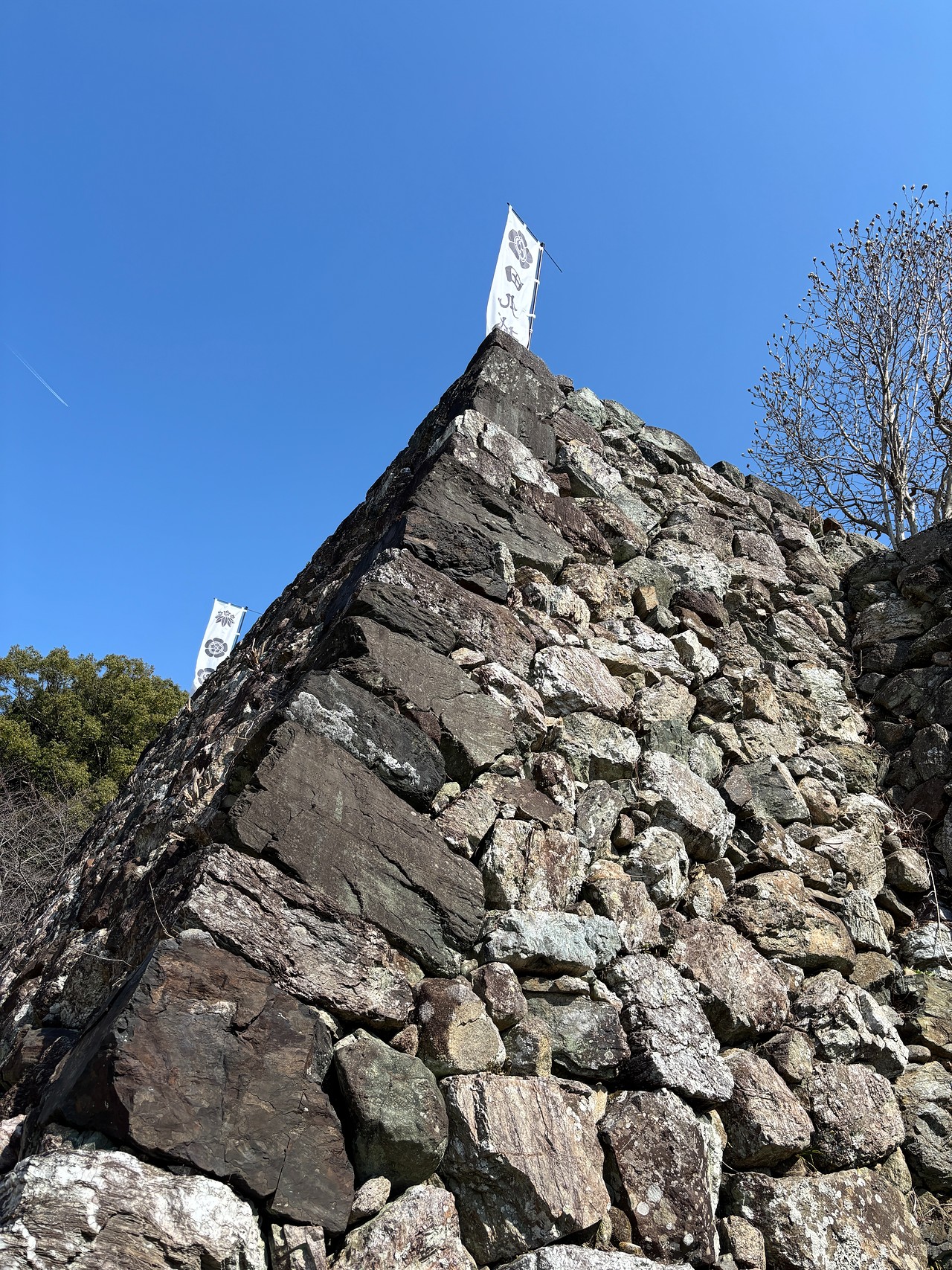 田丸城-5