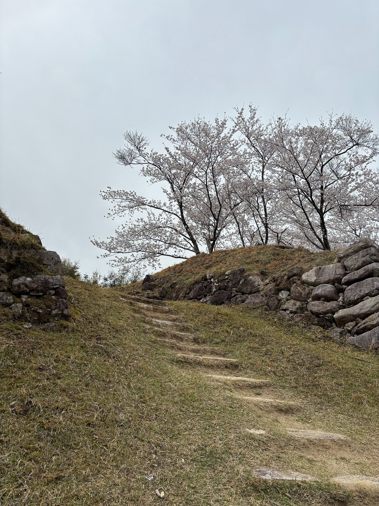 赤木城-5