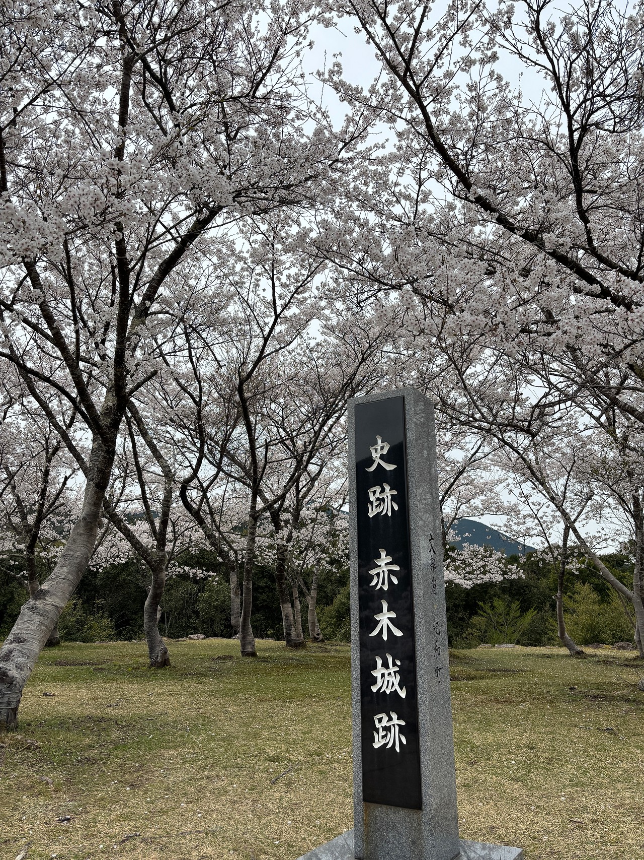 赤木城-4