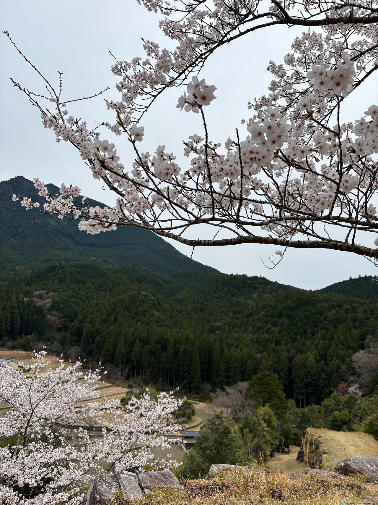 赤木城-1