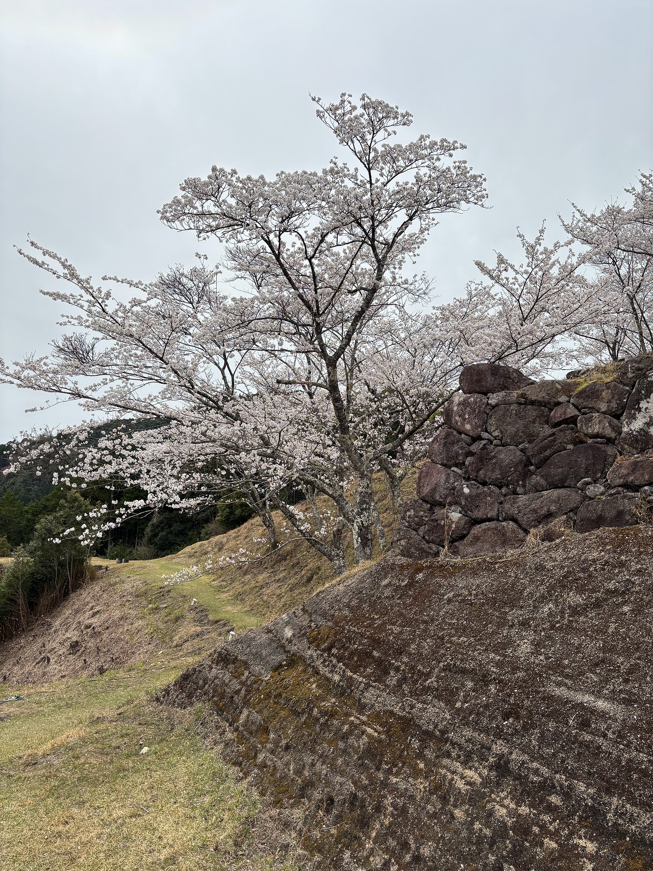 赤木城-2