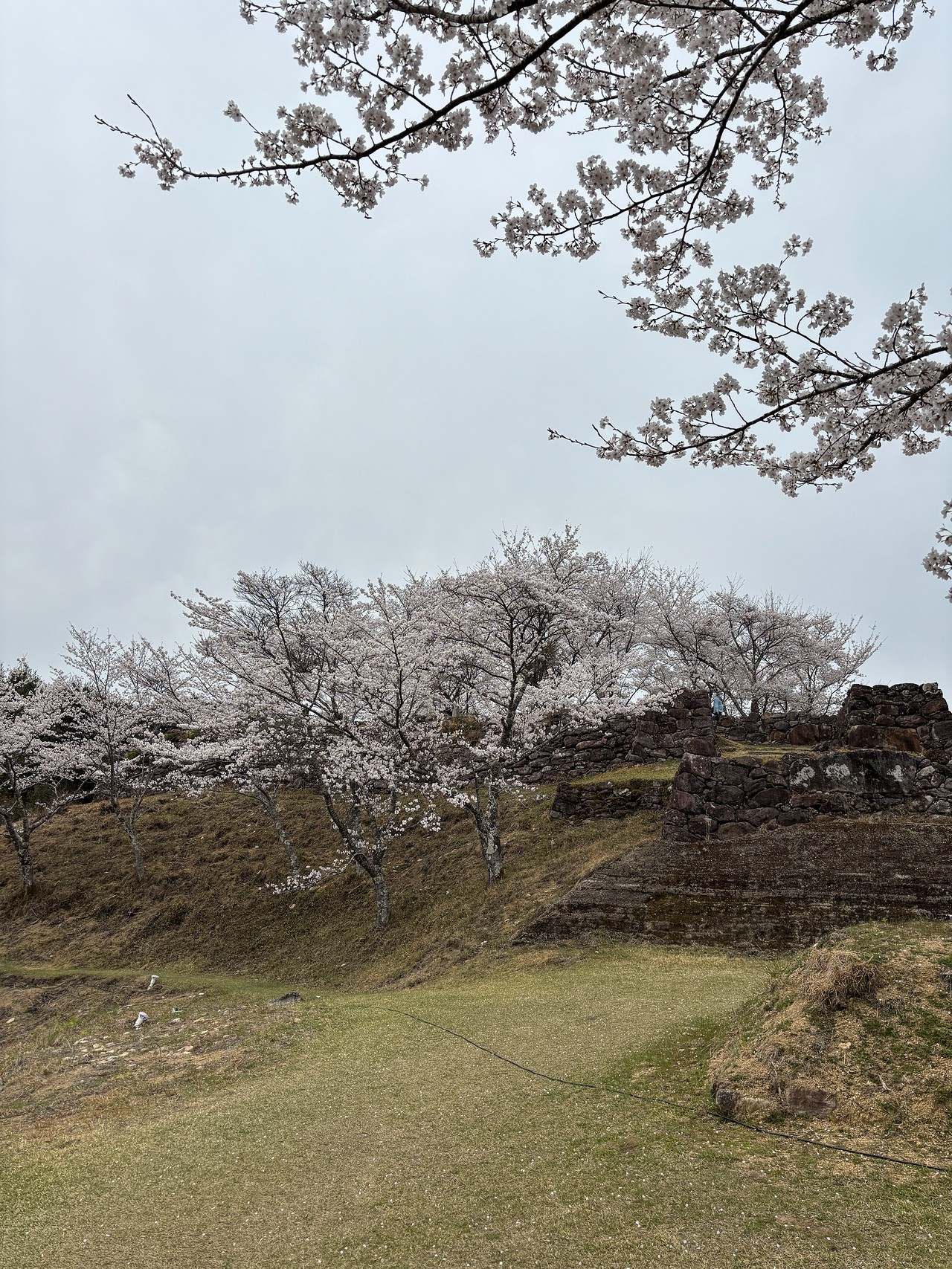 赤木城-3