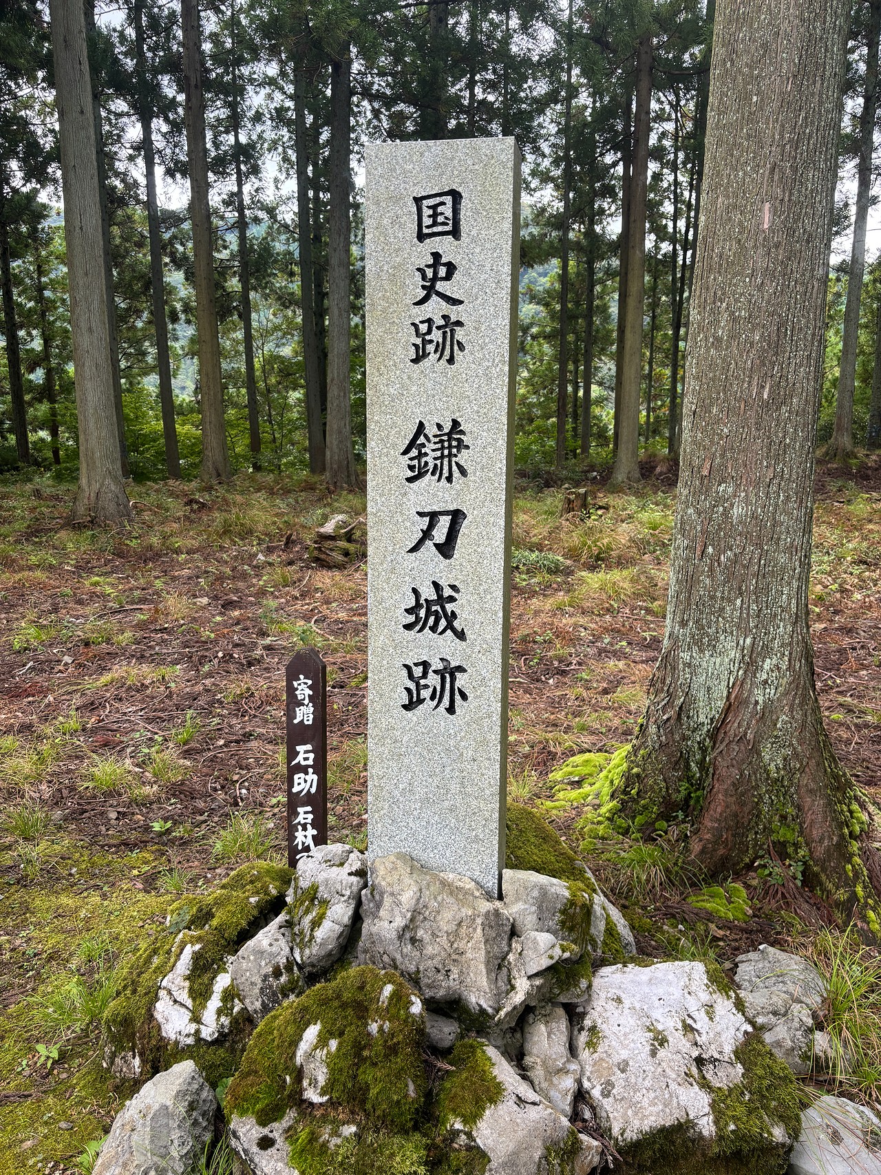 鎌刃城-2