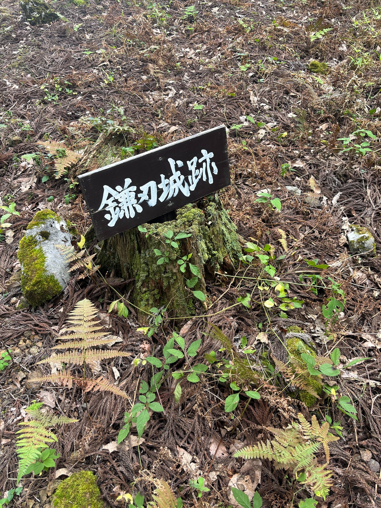 鎌刃城-5