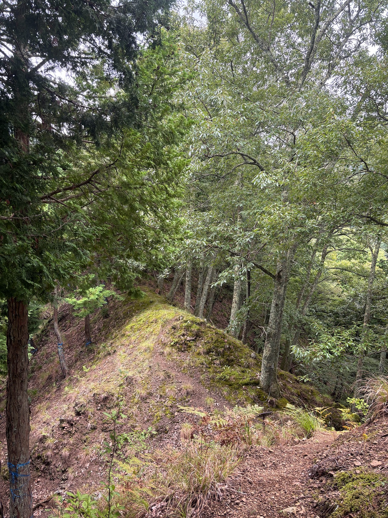 鎌刃城-3