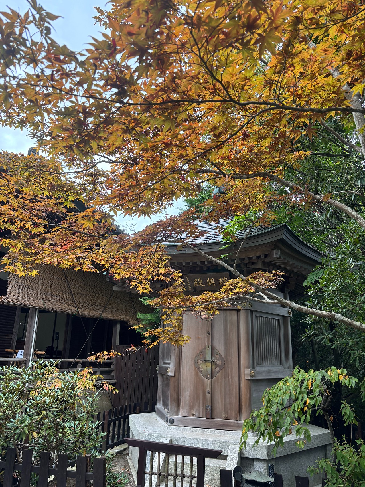 八幡山城-2