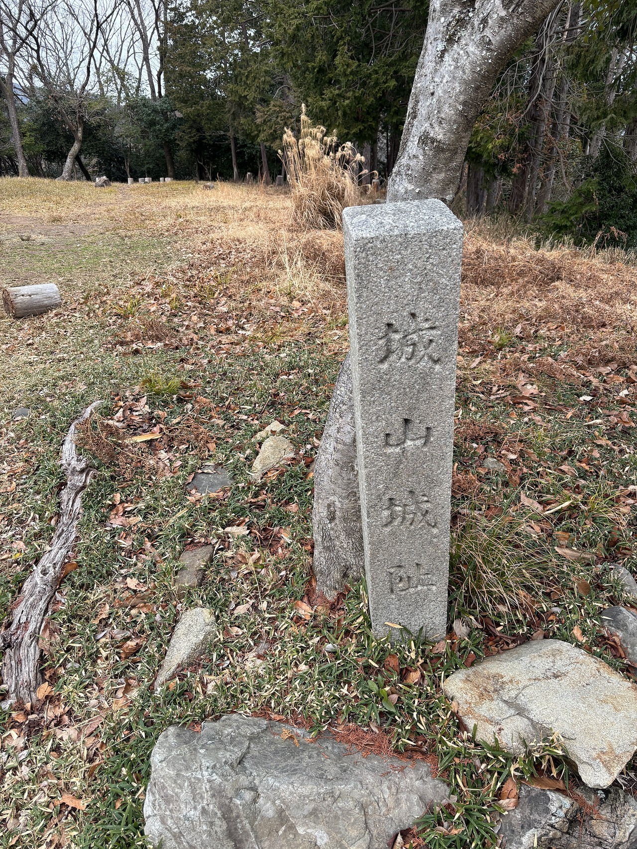 芥川山城-5