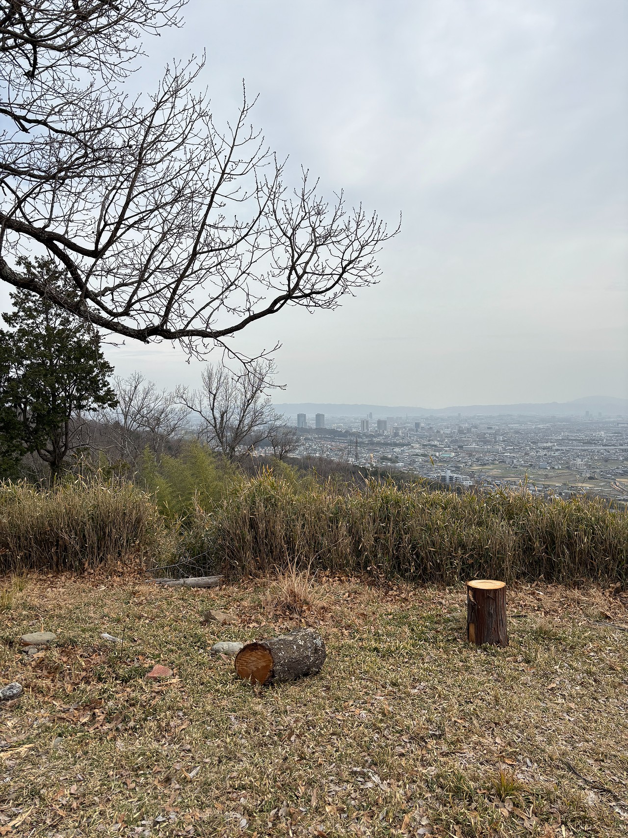 芥川山城-3