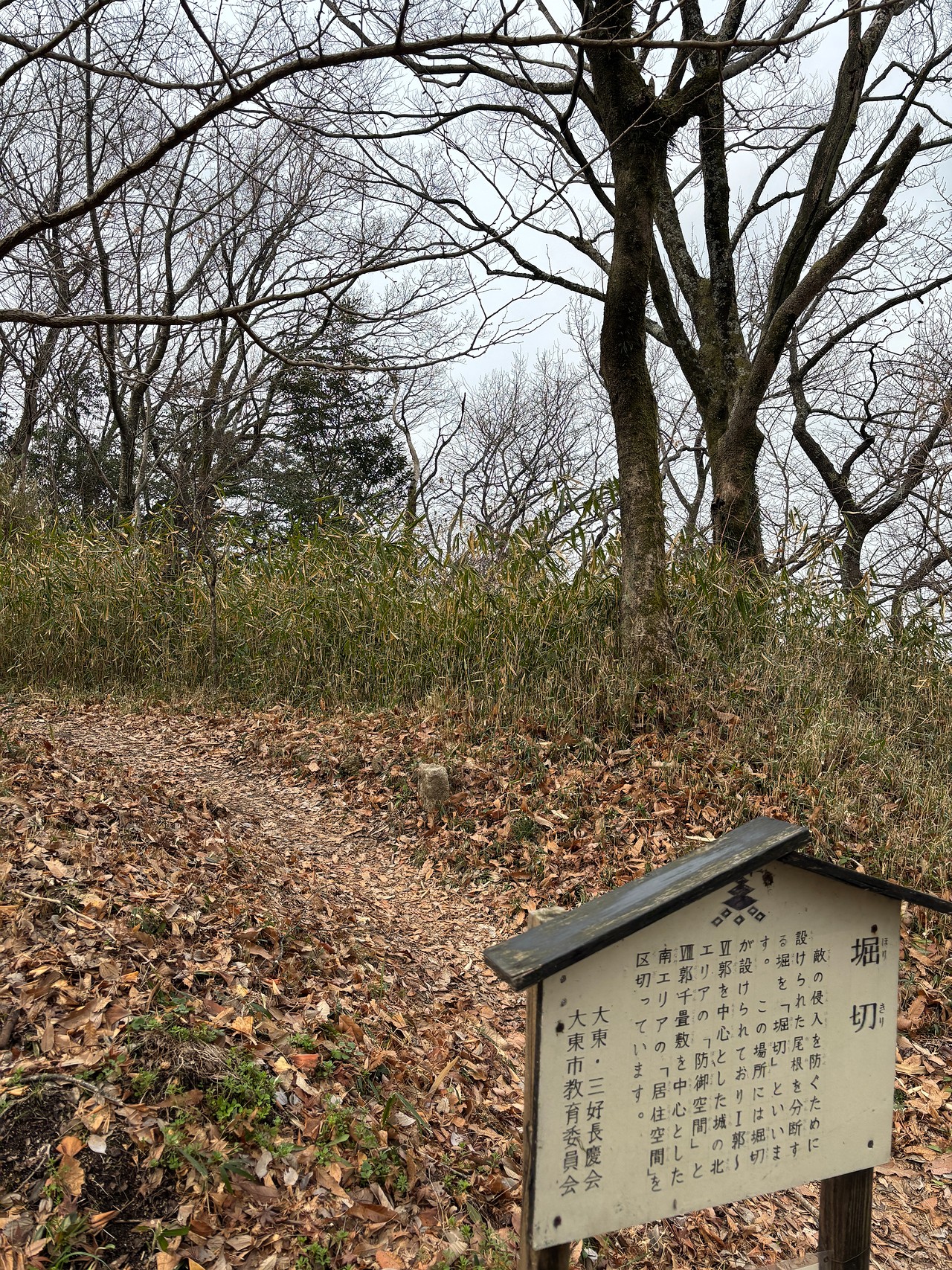 飯盛城-1