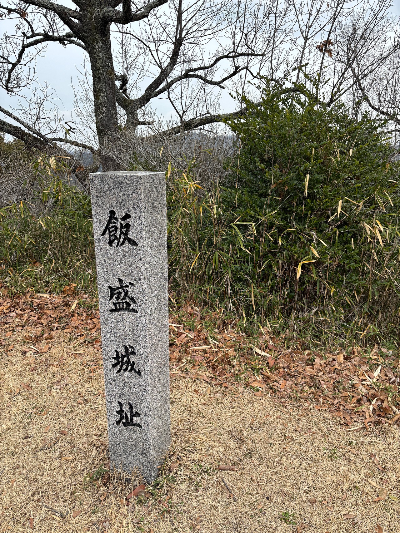 飯盛城-4