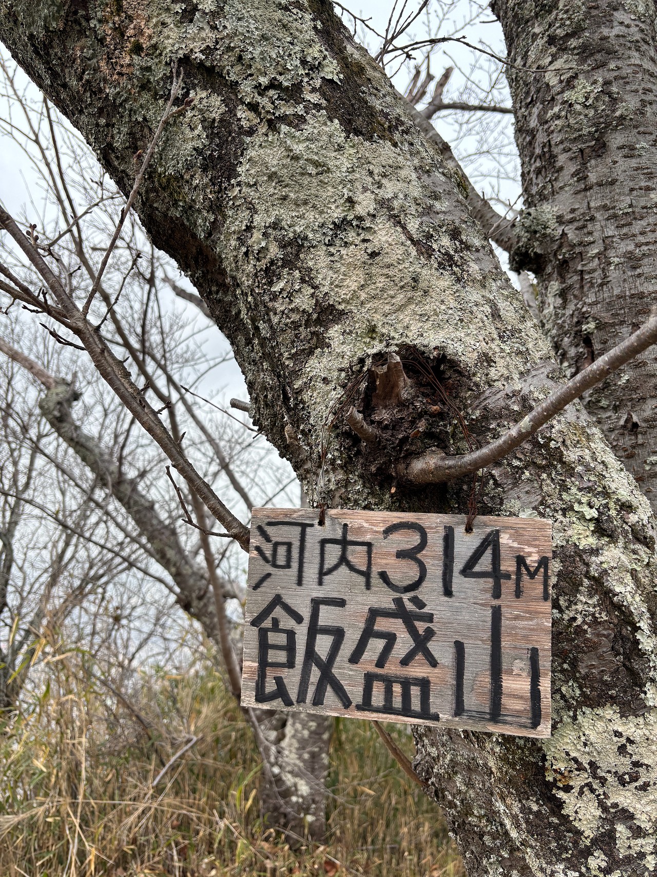 飯盛城-2