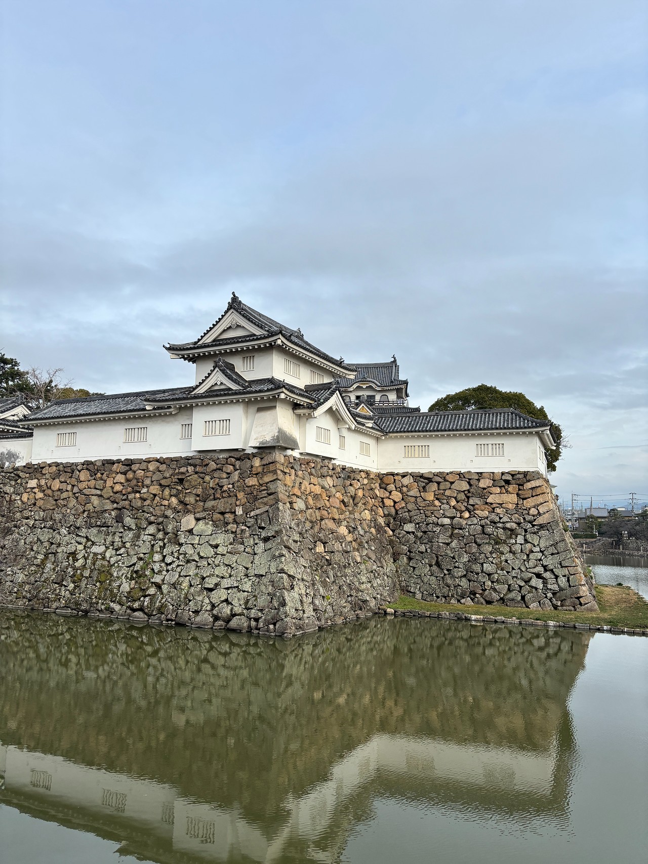 岸和田城-1