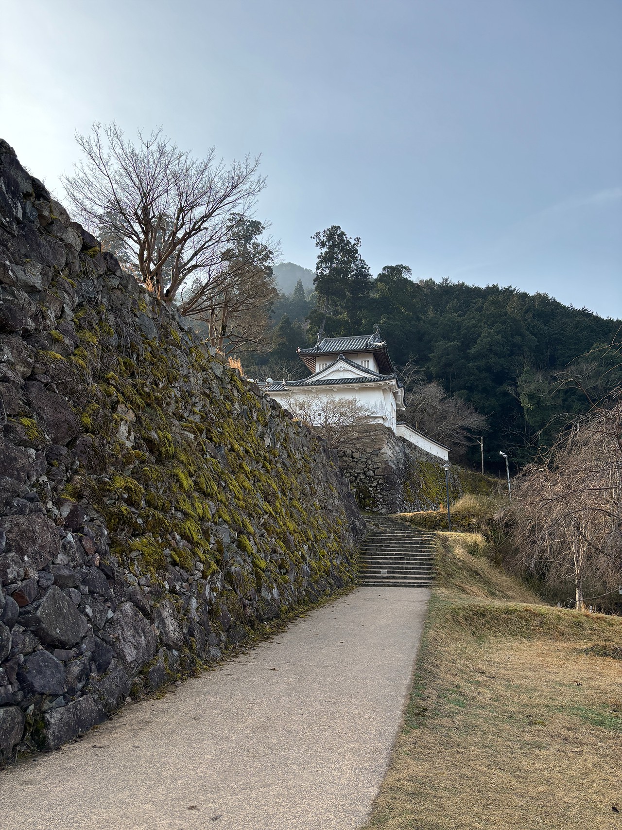 出石城・有子山城-5