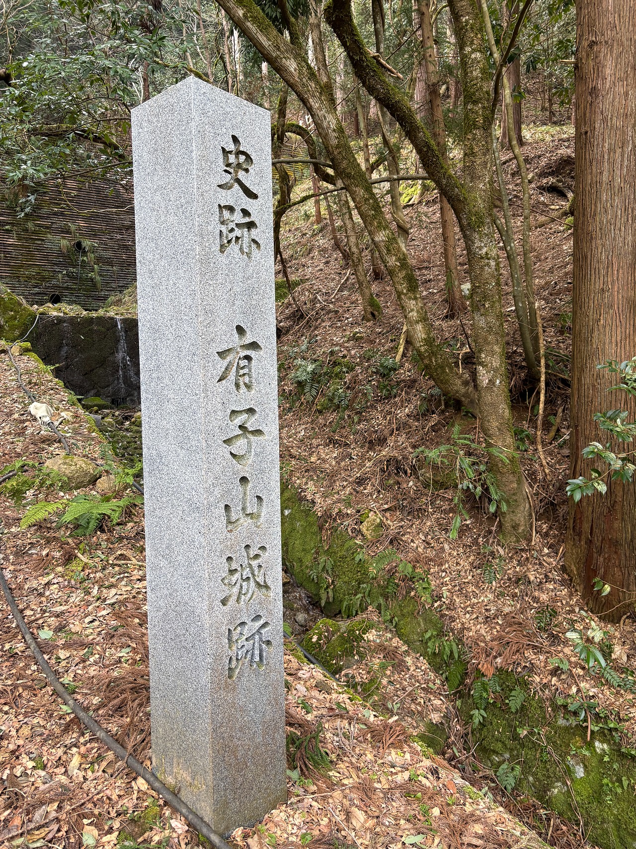 出石城・有子山城-4