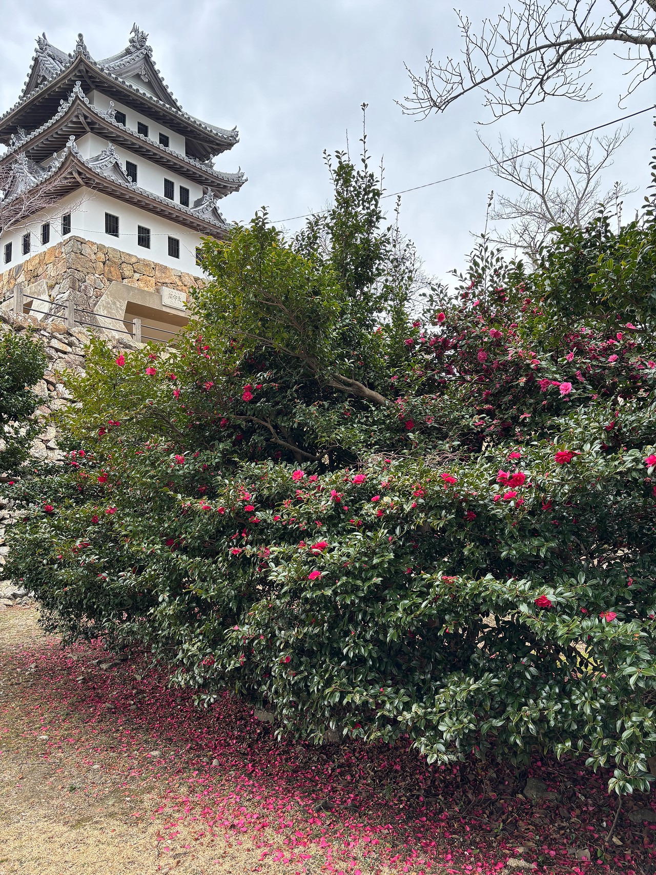 洲本城-5