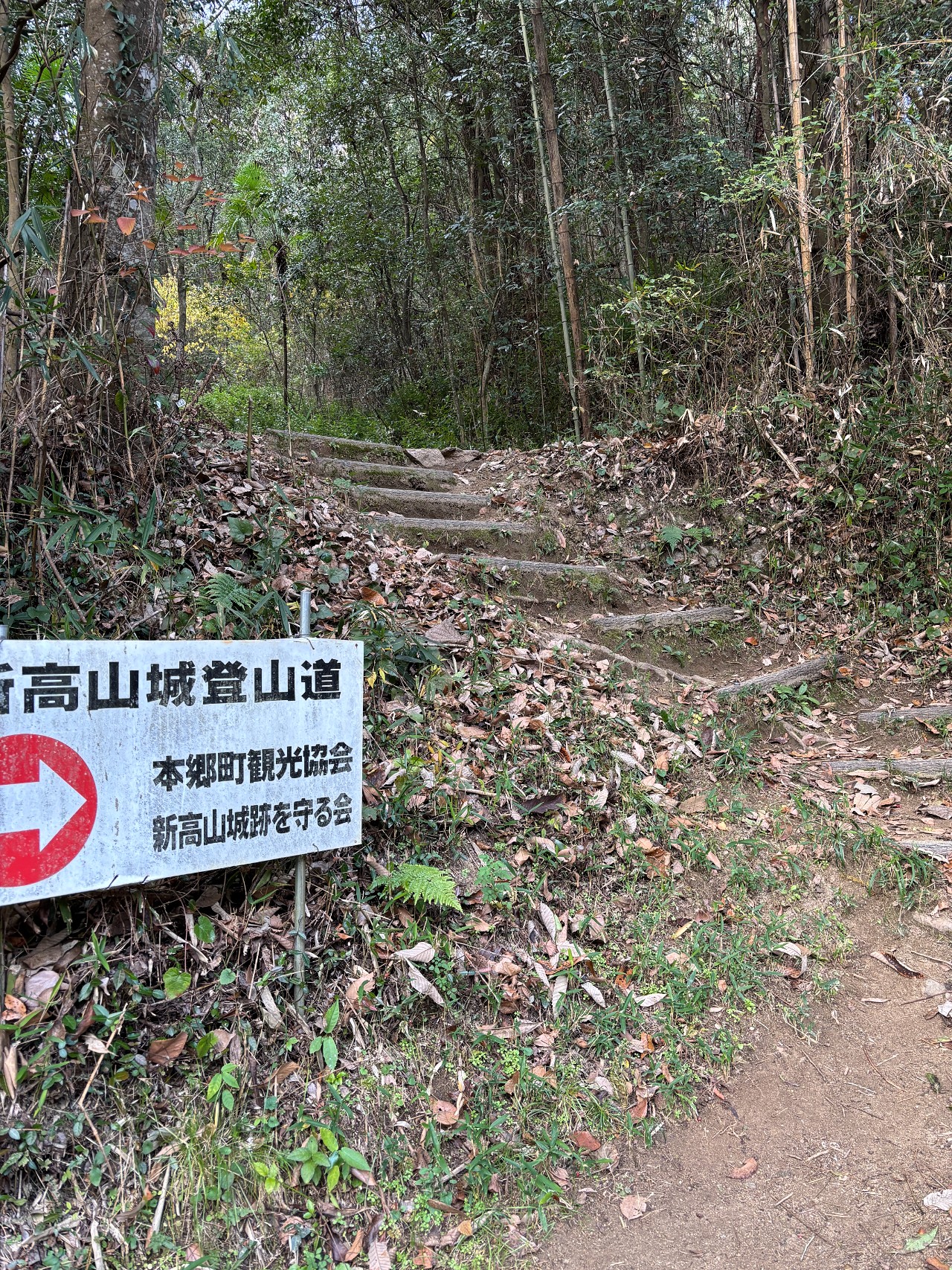 新高山城-5