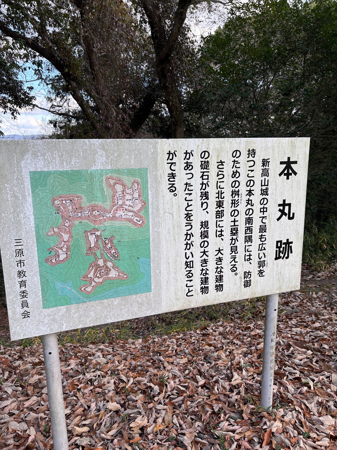 新高山城-4