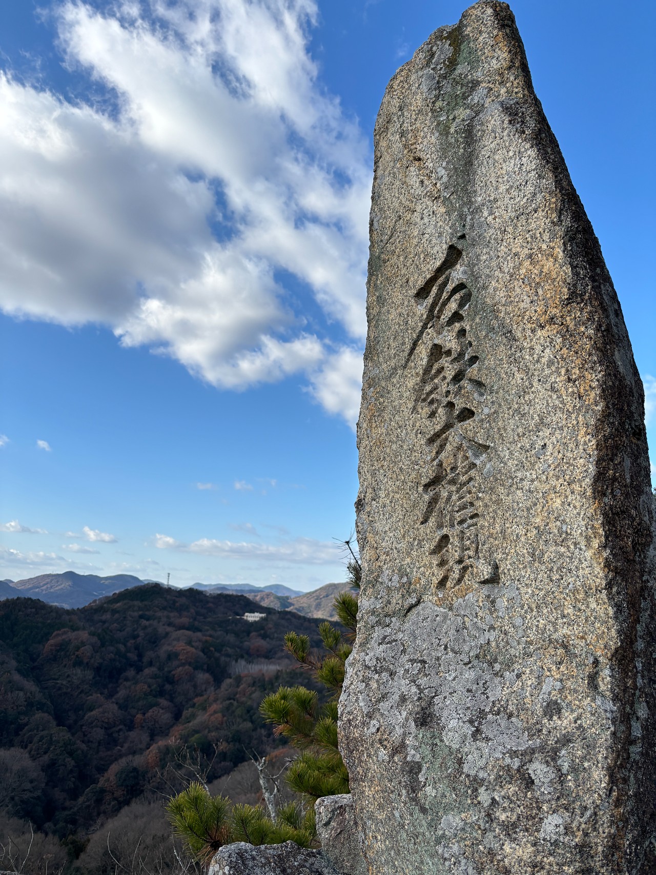 新高山城-1