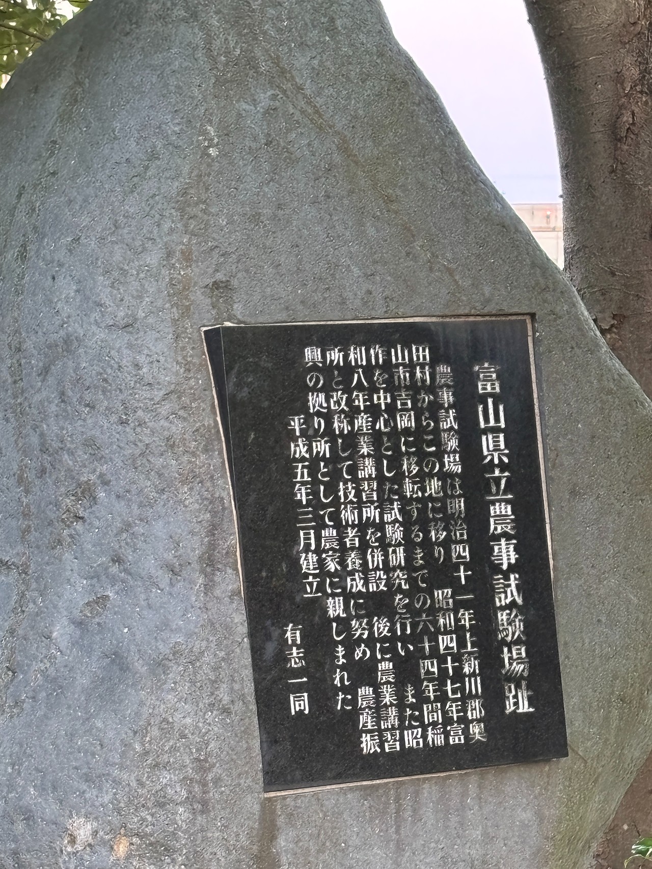 今泉城-2