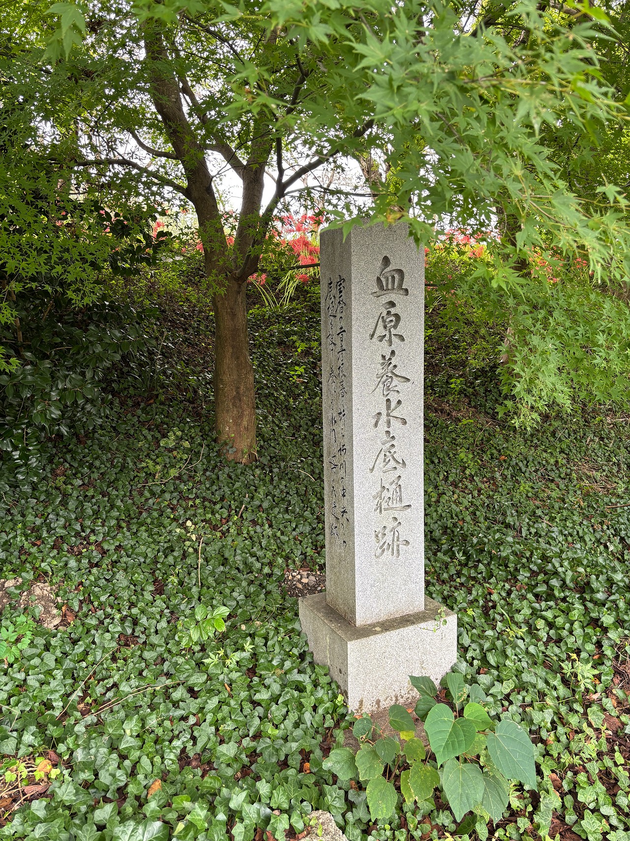 姉川の戦い-3