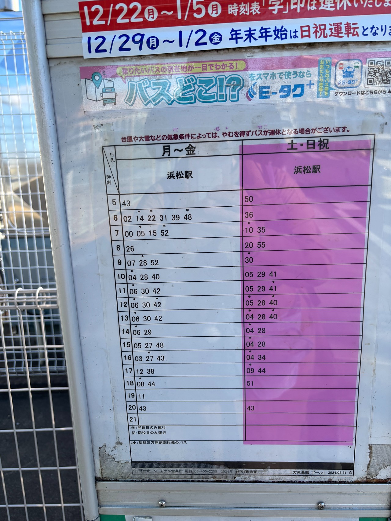 三方ヶ原の戦い-4