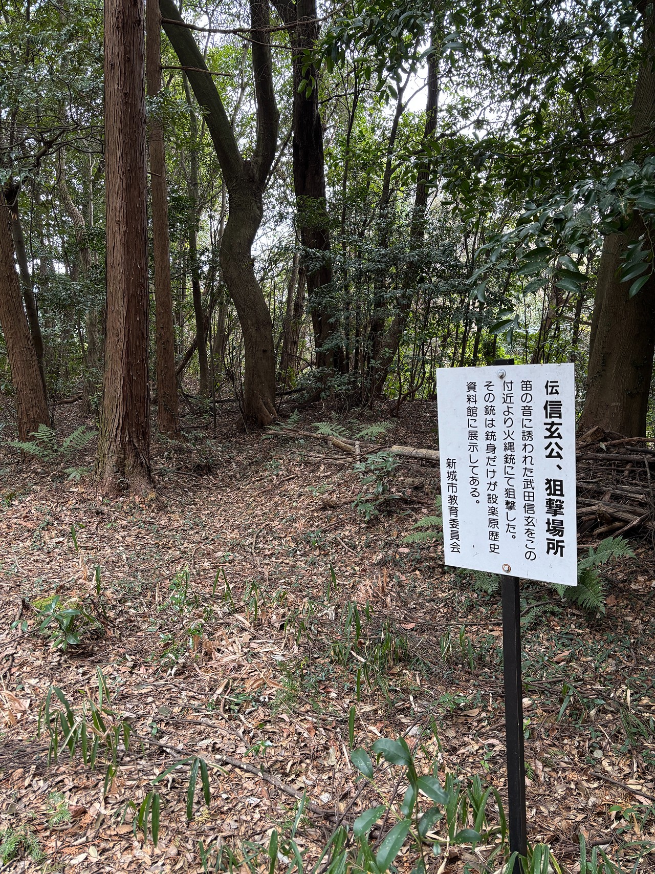 野田城の戦い-2