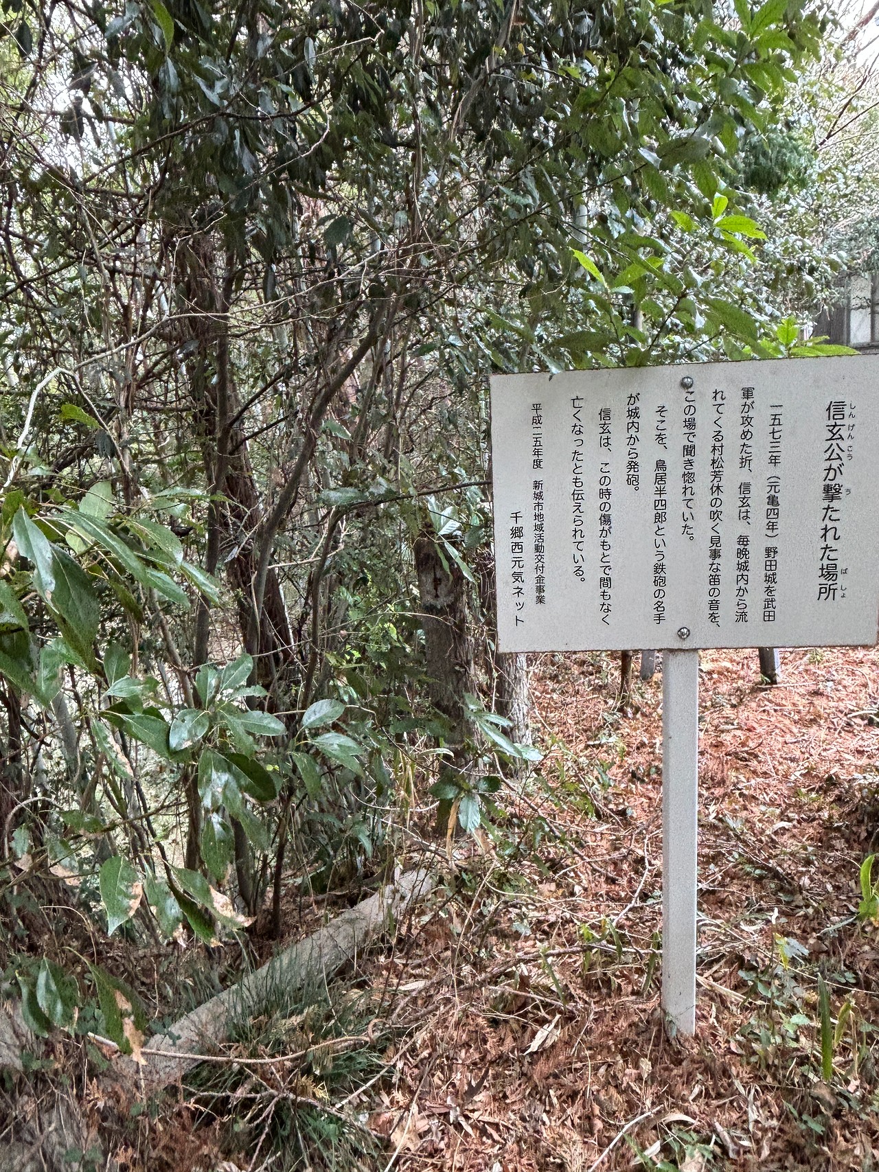 野田城の戦い-3