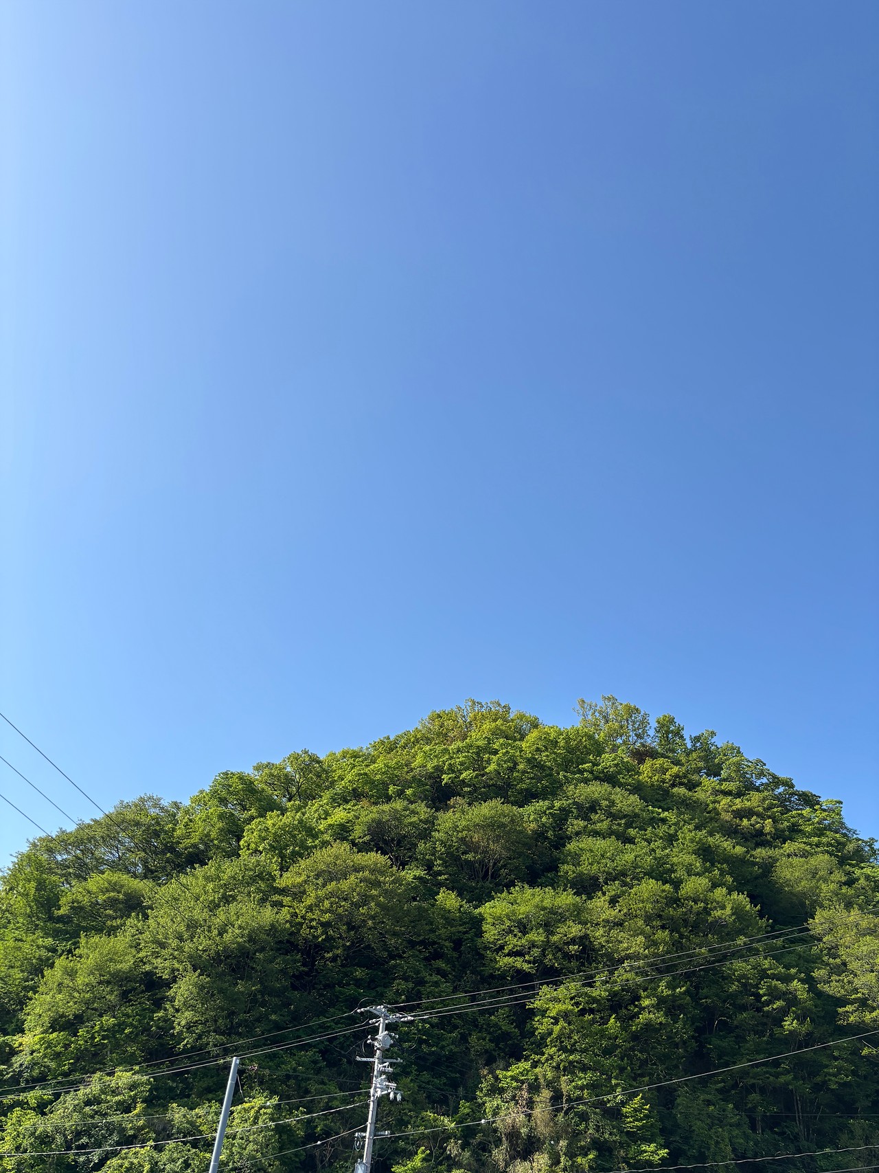 鳥取のたのも崩れ-5