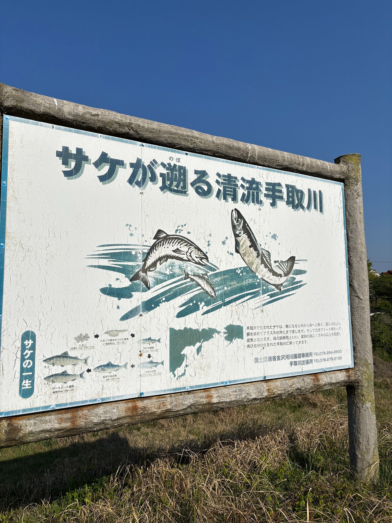 手取川の戦い-1